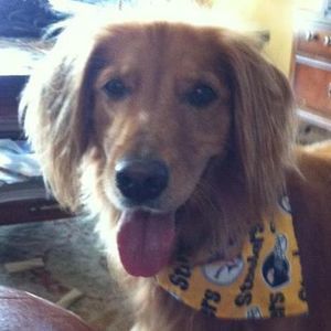 Meet your Posher, Kathy